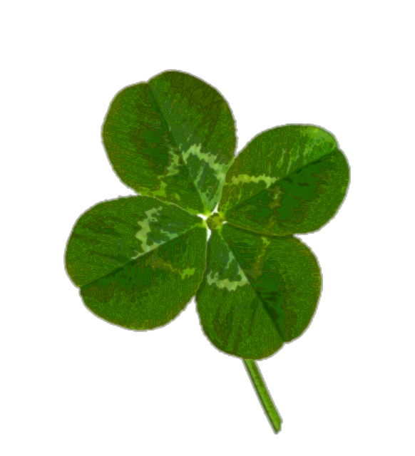Clover