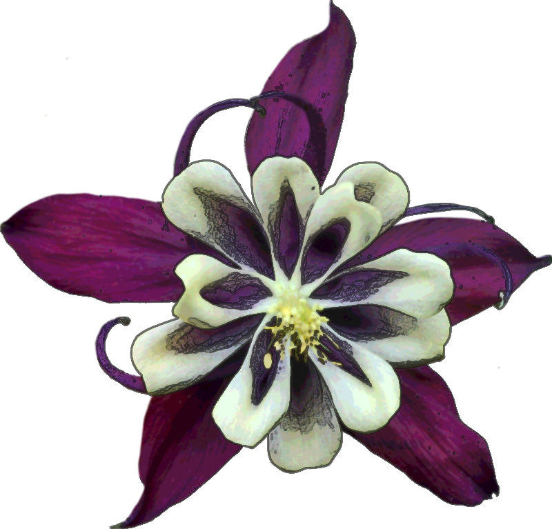 Columbine